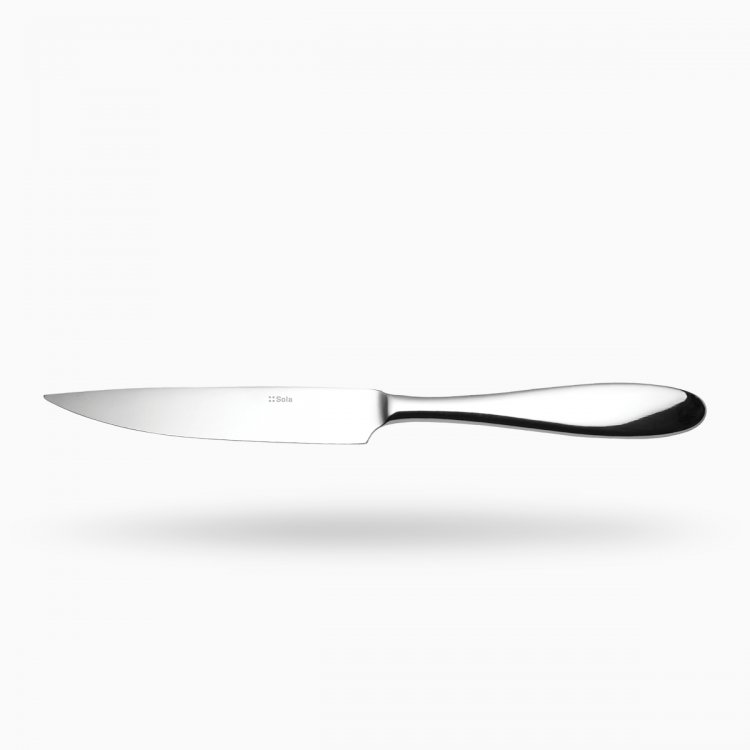 Steakový nôž s dutou rúčkou 24,5 cm - Turin